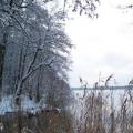 Winterblick aus Senzig (tn_100_4094.jpg) Zeesner See im Landkreis Dahme Spreewald